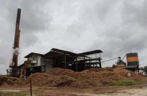SEDA Biomass