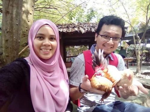 petting-zoo-farm-in-the-city